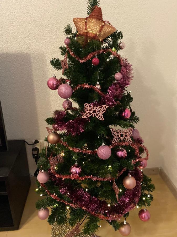 Fewo Dana Appartement Neckarsteinach Buitenkant foto