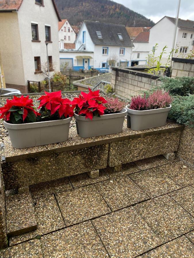 Fewo Dana Appartement Neckarsteinach Buitenkant foto